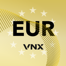 VNX Euro logo